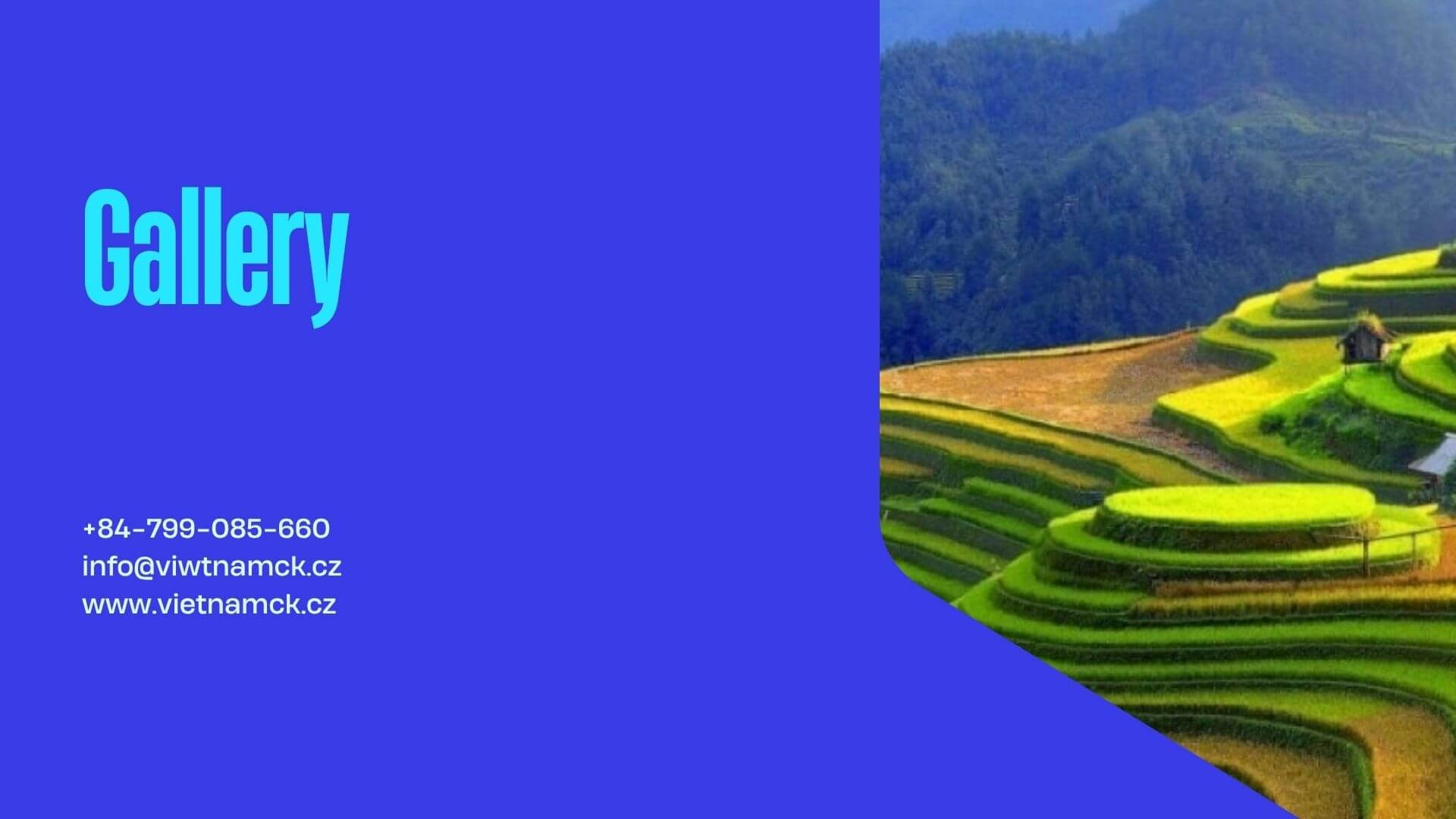 GAllery title Gallery