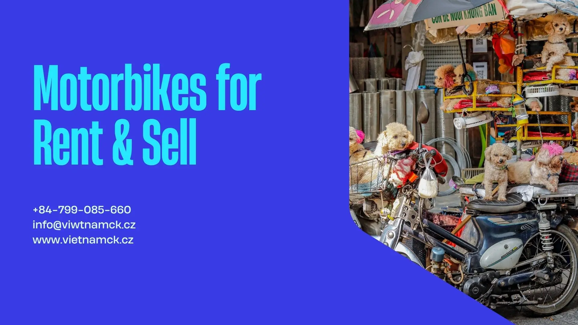 motorbikes-for-rent title Transport